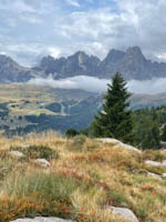 20250913_125017000_iOS 4.jpg